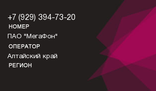 9293947320